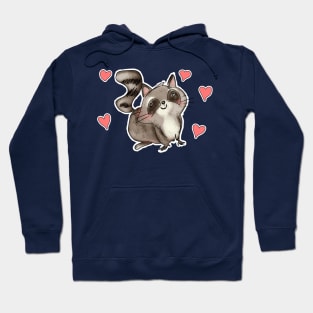 Cute racoon Hoodie